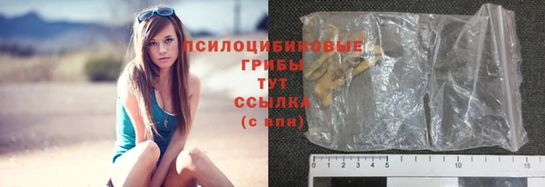 ешки Беломорск