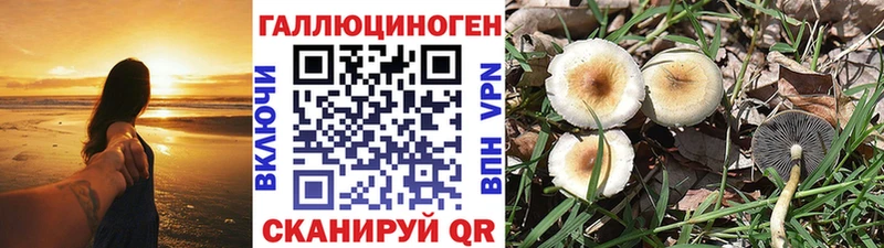цены   Нарьян-Мар  Галлюциногенные грибы Psilocybine cubensis 